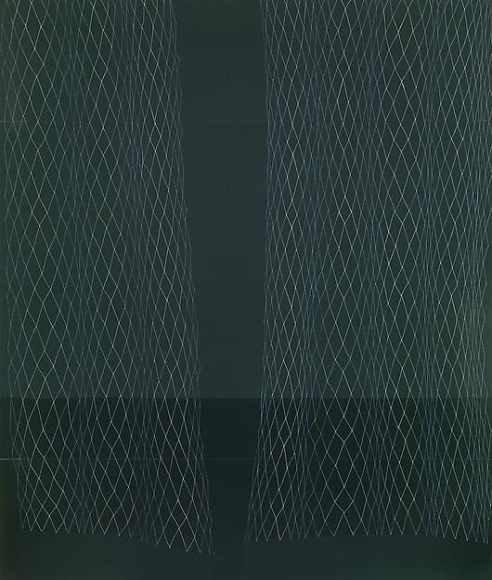  &nbsp;, Dark Green Lace Curtain, Slight Cupping, 2008