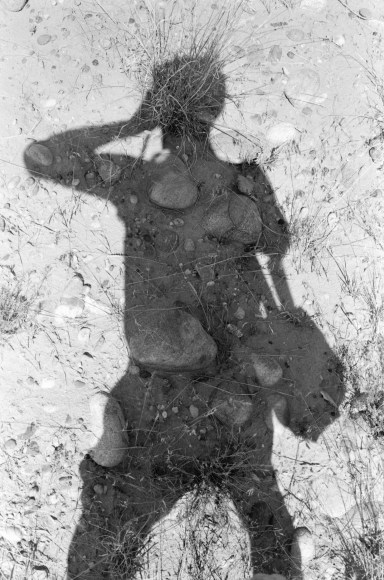 Lee Friedlander Canyon de Chelly, Arizona, 1983