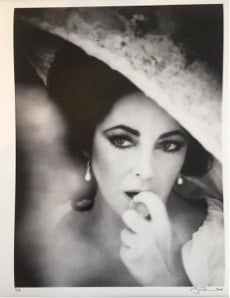Firooz Zahedi , My Elizabeth, Portfolio