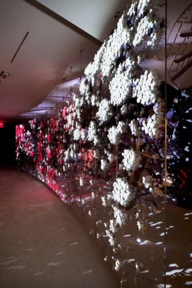 Ran Hwang: The Snowfall of Spiders