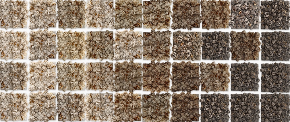 Melis Buyruk , Habitat, Earth, 2024 