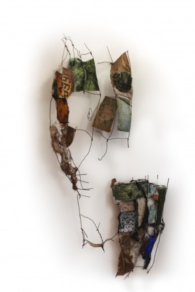 JOHANNA FLATO, Shedding Scape I, 2014