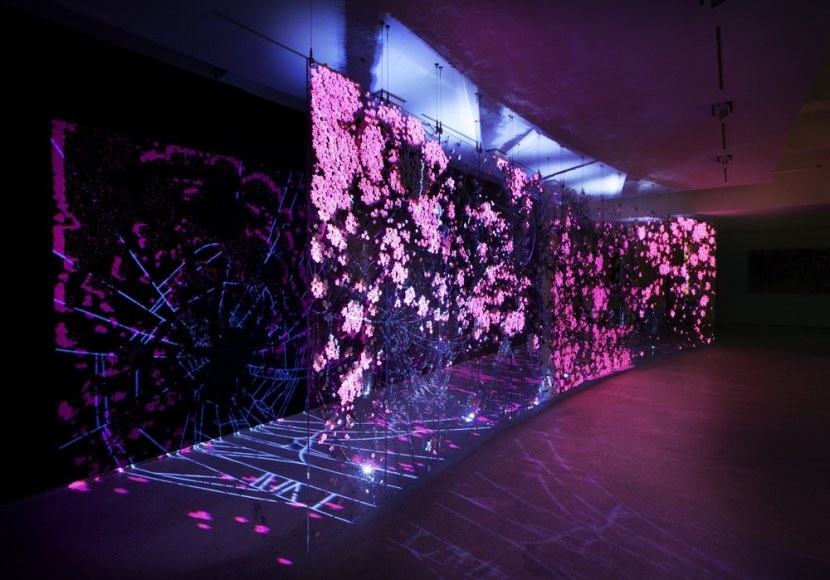 Ran Hwang: The Snowfall of Spiders