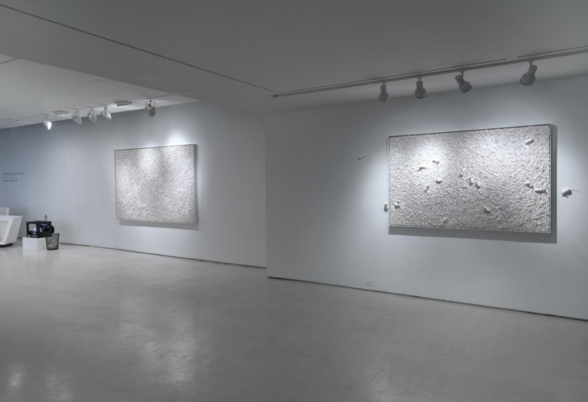 Rachel Lee Hovnanian: Plastic Perfect