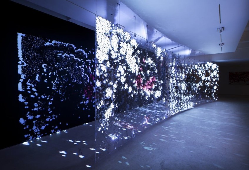 Ran Hwang: The Snowfall of Spiders