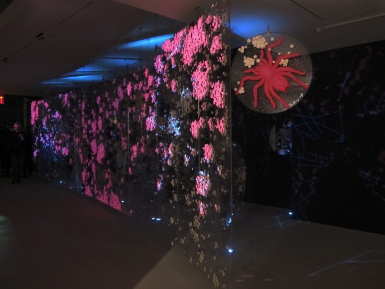 Ran Hwang: The Snowfall of Spiders