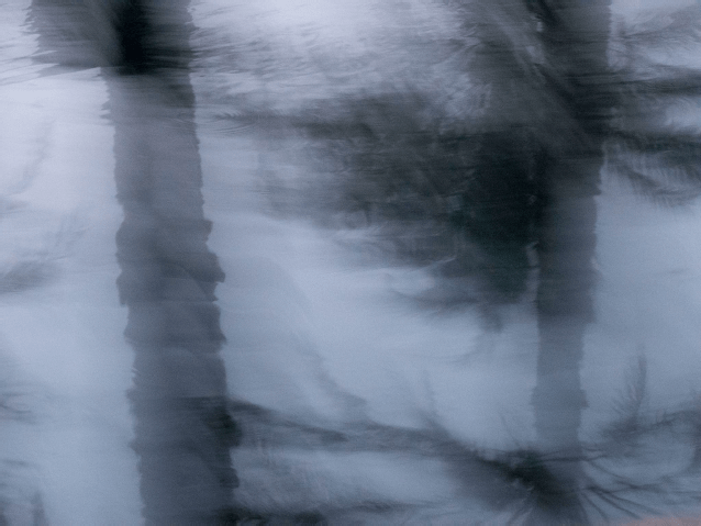 Fatna Island, Siwa, Egypt&nbsp;&nbsp;&nbsp;&nbsp;&nbsp;&nbsp;&nbsp;&nbsp;&nbsp;&nbsp;&nbsp;&nbsp;&nbsp;&nbsp;&nbsp;&nbsp;&nbsp;&nbsp;, Chromaluxe Print