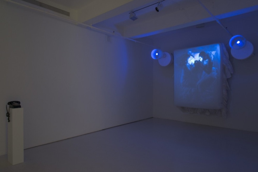 Rachel Lee Hovnanian: Plastic Perfect