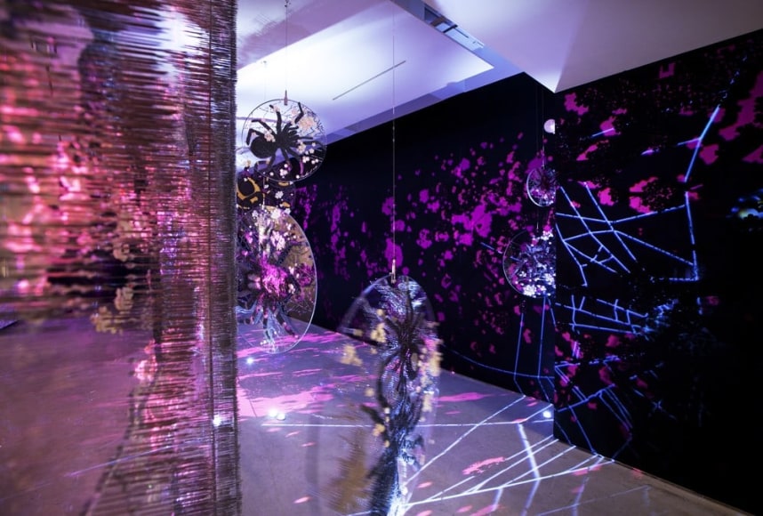 Ran Hwang: The Snowfall of Spiders