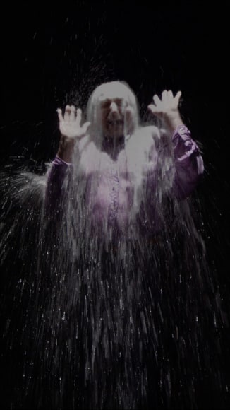 Bill Viola, Howard, 2008