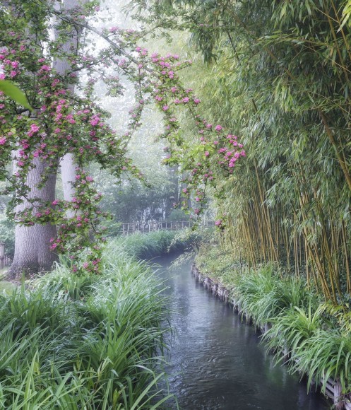 Giverny: 83, 2014, Archival Pigment Print; Signed on Verso