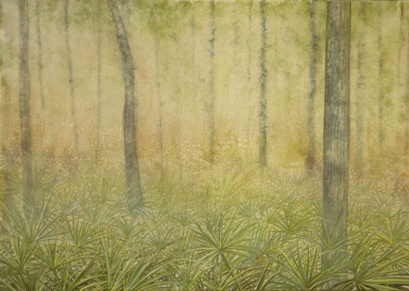 ELIZABETH THOMPSON, Palmetto Field Dawn, 2010
