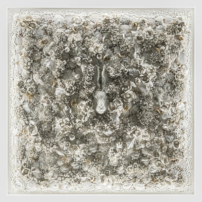 Melis Buyruk, Habitat The Rabbit, 2019