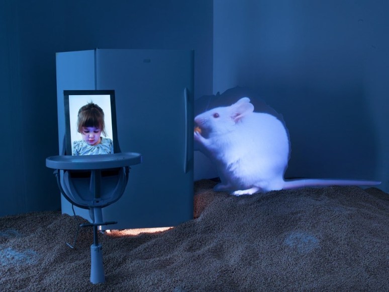 In Loco Parentis, 2014, Installation with rear projection video, HD video, acrylic, Cheerios, refrigerator, high chair, metal, diamond dust