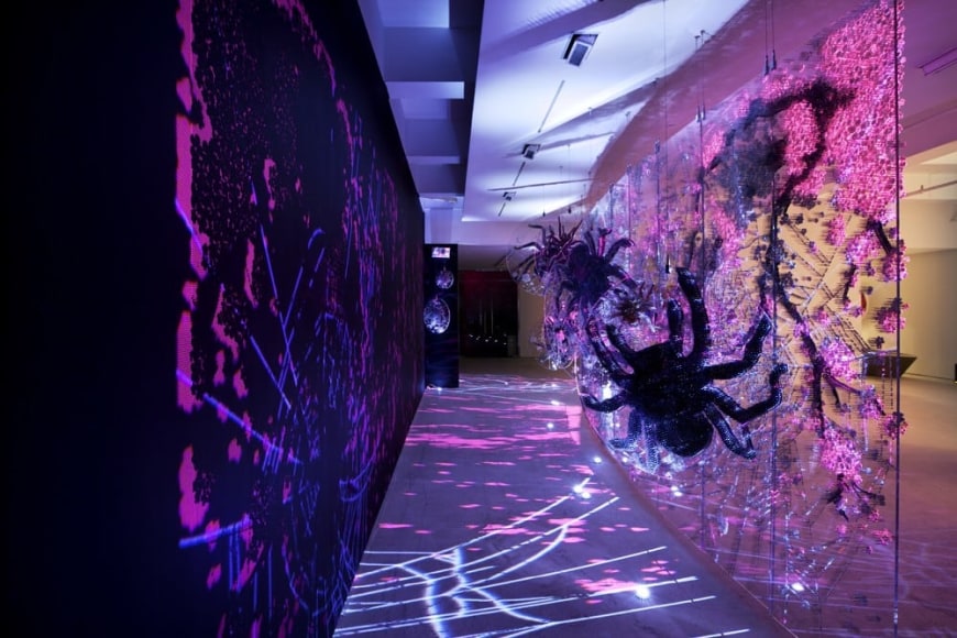 Ran Hwang: The Snowfall of Spiders