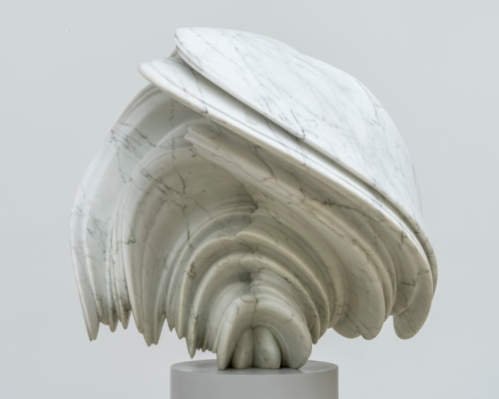 Tony Cragg, Willow, 2016