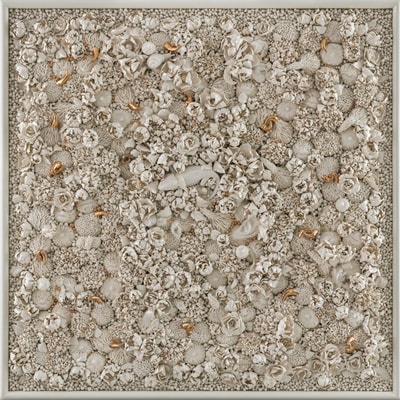 Melis Buyruk, Habitat Bearded Dragon, 2021