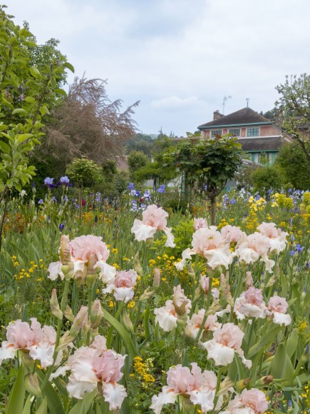 Giverny: 47,&nbsp;2018, Archival Pigment Print; Signed on Verso