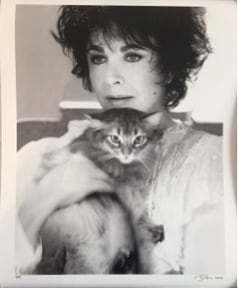 Firooz Zahedi , My Elizabeth, Portfolio