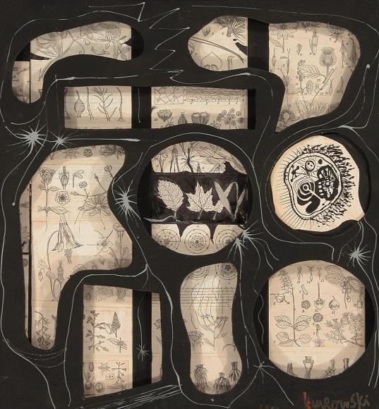 Gerome Kamrowski Unnatural History, 1943