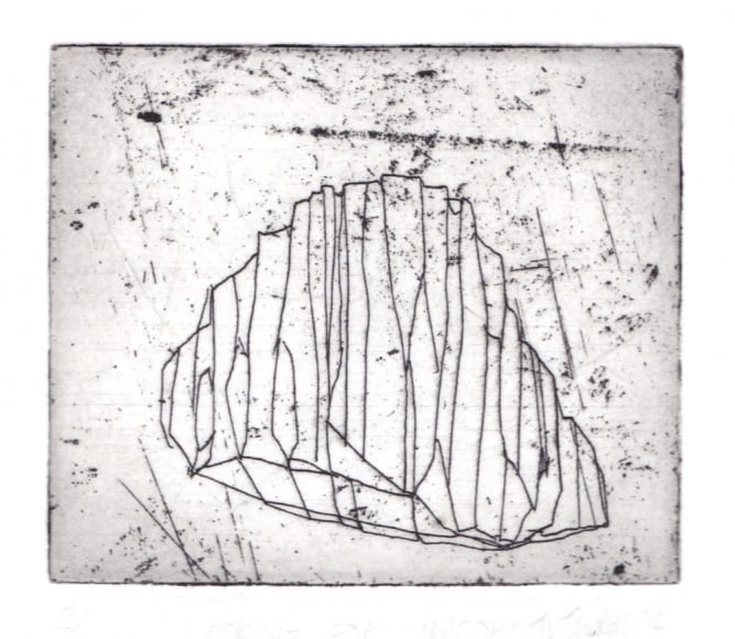 TAMSIN RELLY, Looking for Unicorns II, 2014