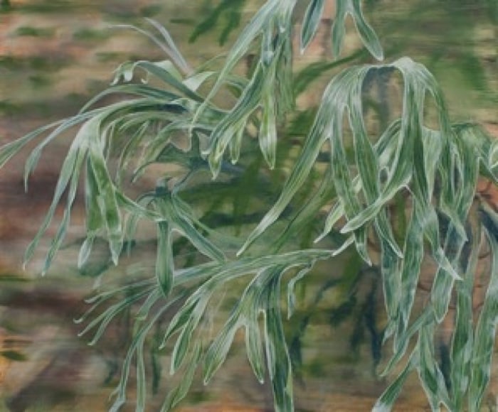 ELIZABETH THOMPSON, Antler Fern, 2009