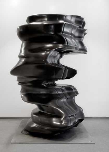 Tony Cragg, 3-D Incident, 2007