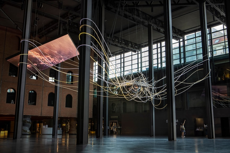 Grimanesa Amor&oacute;s: Scientia