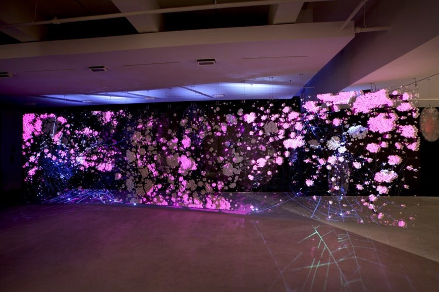 Ran Hwang: The Snowfall of Spiders