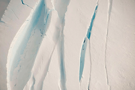 Diane Tuft, Cape Crozier, 2012