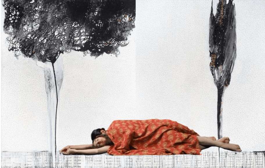 Farideh Lashai, Leyla va Majnun, 2008-2010