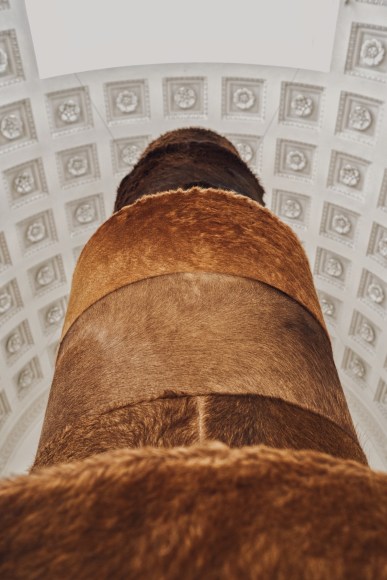 Zeinab Alhashemi: There May Exist