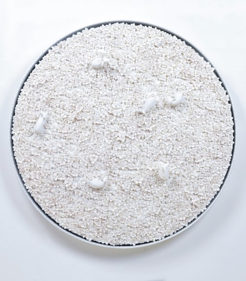 Rachel Lee Hovnanian, White Narcissus Panel with Mice T, 2016