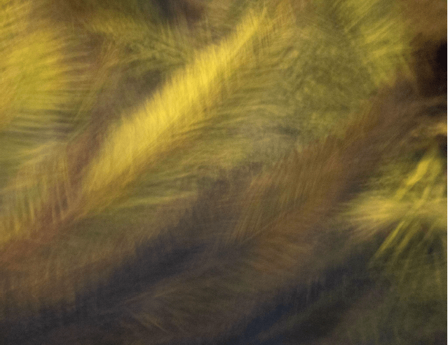 Park Hyatt Hotel, Abu Dhabi&nbsp;&nbsp;&nbsp;&nbsp;&nbsp;&nbsp;&nbsp;&nbsp;&nbsp;&nbsp;&nbsp;&nbsp;, Chromaluxe Print