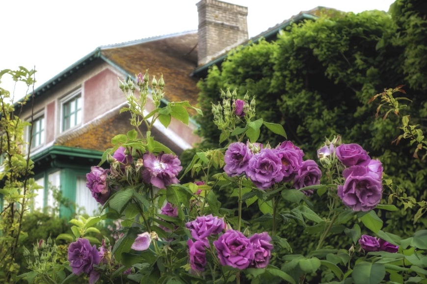 Giverny: 49, 2019, Archival Pigment Print; Signed on Verso