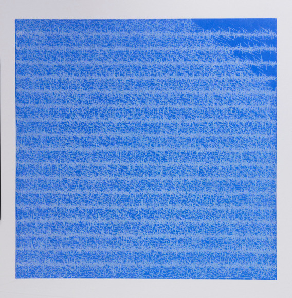 POURAN JINCHI&nbsp;, Bruised 1, 2014