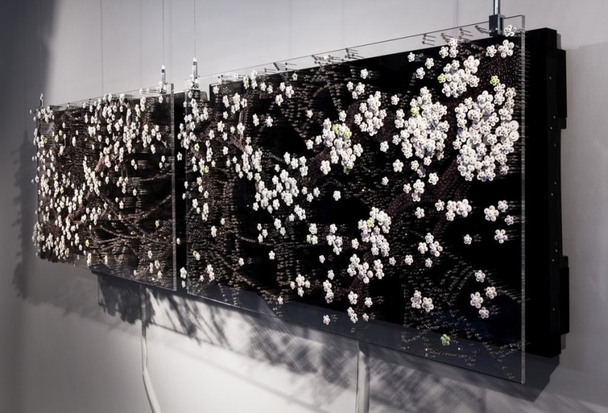 Ran Hwang: The Snowfall of Spiders