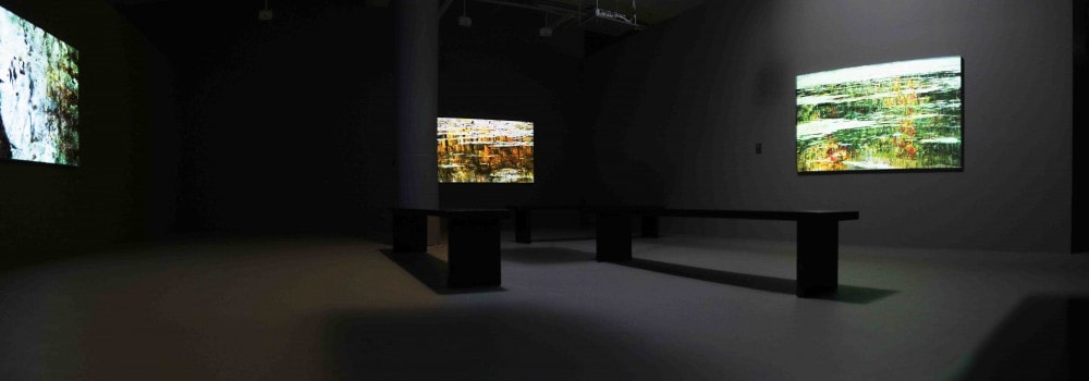 Shoja Azari and Shahram Karimi: Magic of Light