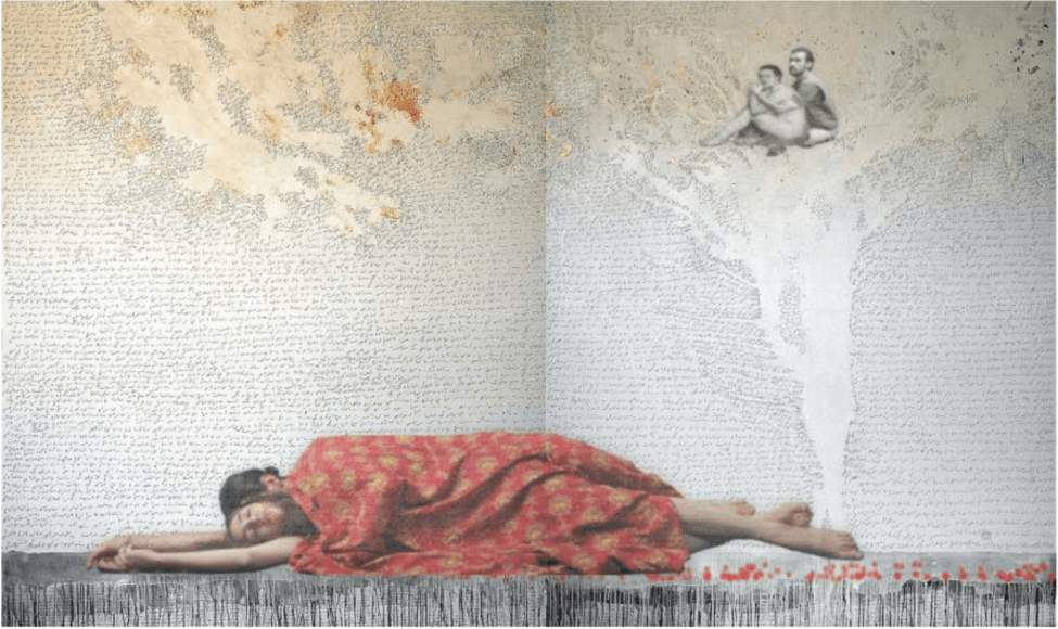 Farideh Lashai Leyla va Majnun, 2008-2010