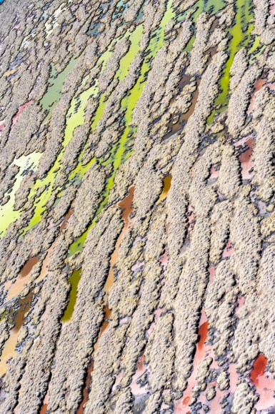 Diane Tuft, Entropy, 2022