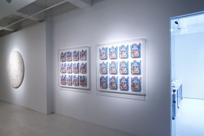 Rachel Lee Hovnanian: Plastic Perfect