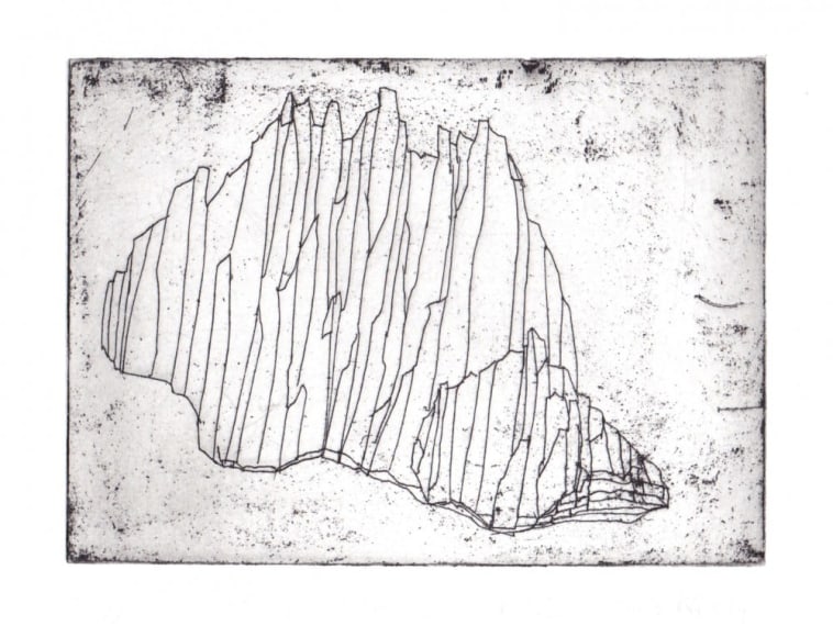 TAMSIN RELLY, Looking for Unicorns I, 2014