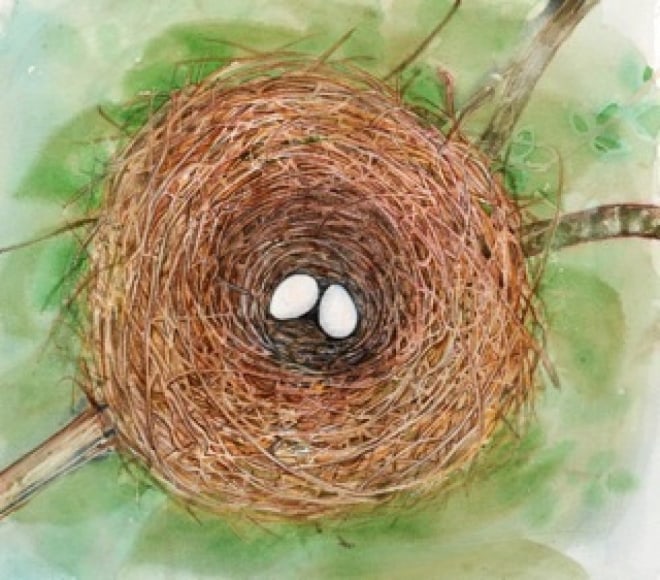 ELIZABETH THOMPSON, Ibis Nest, 2011