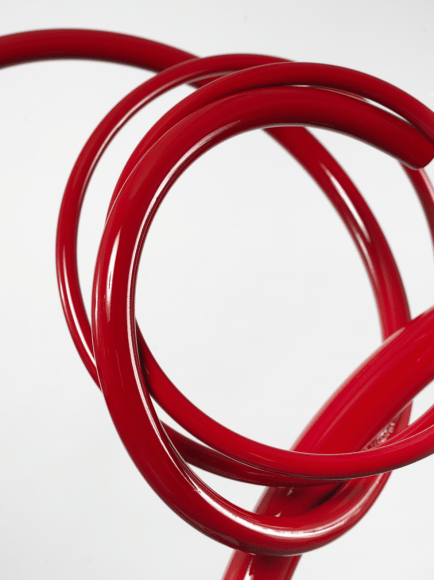 Dino Print, 2023, 24 x 36 x 1 in