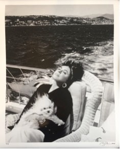 Firooz Zahedi , My Elizabeth, Portfolio