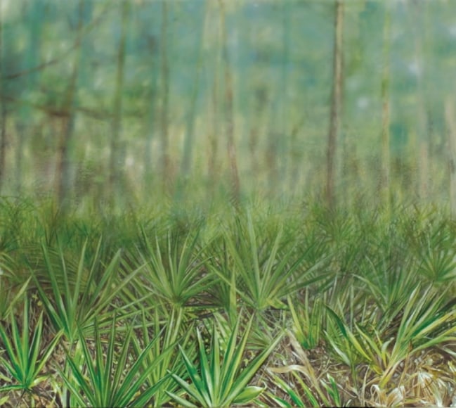 ELIZABETH THOMPSON, Palmetto Morning, 2010