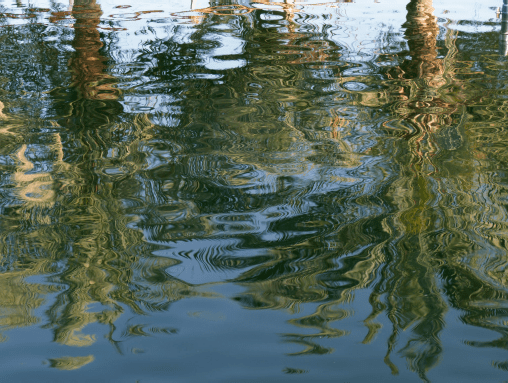 The Sustainable City, Dubai&nbsp;&nbsp;&nbsp;&nbsp;&nbsp;, Chromaluxe Print