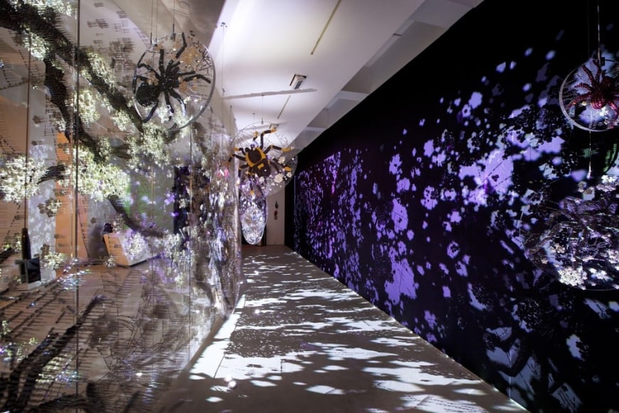 Ran Hwang: The Snowfall of Spiders