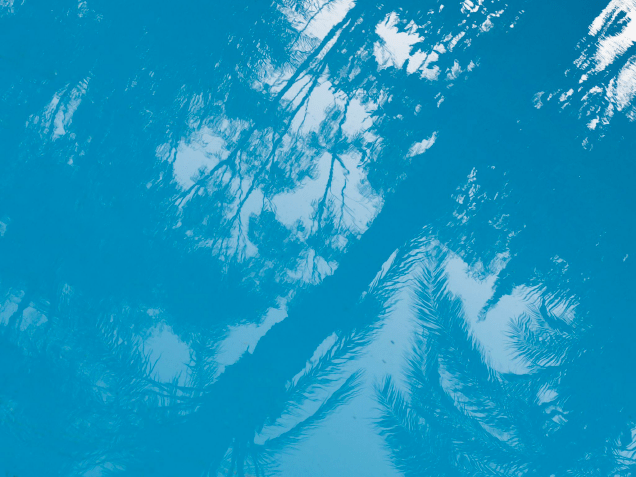 Cairo, Egypt, Chromaluxe Print,&nbsp;&nbsp;&nbsp;&nbsp;&nbsp;&nbsp;&nbsp;&nbsp;&nbsp;&nbsp;&nbsp;&nbsp;&nbsp;&nbsp;&nbsp;&nbsp;&nbsp;&nbsp;&nbsp;&nbsp;&nbsp;&nbsp;&nbsp;&nbsp;&nbsp;&nbsp;&nbsp;&nbsp;&nbsp;&nbsp;&nbsp;