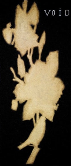 REZA DERAKSHANI&nbsp;, Void Gold, 2012